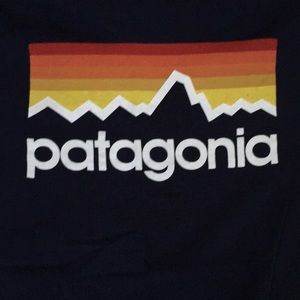 Long sleeved Patagonia tshirt